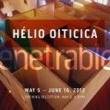 Galerie Lelong Hosts Helio Oiticica's Exhibition PENETRABLES, 5/5-6/16