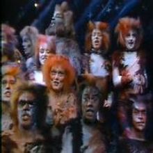 STAGE TUBE: On This Day 9/10- CATS