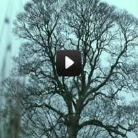 STAGE TUBE: New Trailer - WUTHERING HEIGHTS Opens October 5
