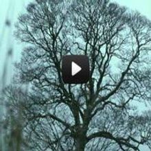 STAGE TUBE: New Trailer - WUTHERING HEIGHTS Opens October 5