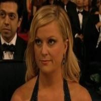 VIDEO: Louis-Dreyfus, Poehler Switch Emmy Acceptance Speeches