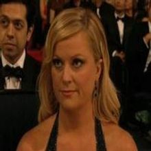 VIDEO: Louis-Dreyfus, Poehler Switch Emmy Acceptance Speeches