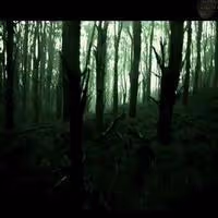 VIDEO: First Look - Teaser for Screen Gems' EVIL DEAD