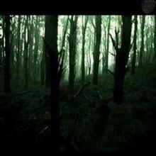VIDEO: First Look - Teaser for Screen Gems' EVIL DEAD