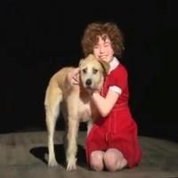 VIDEO: Sneak Peek - ANNIE'S SEARCH FOR SANDY on NBC, Airing Today