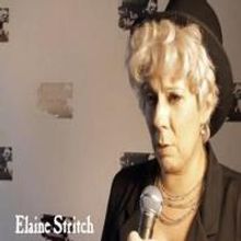 STAGE TUBE: Christina Bianco, Christine Pedi and More Parody Stars at the LES…