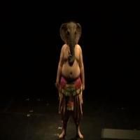 STAGE TUBE: Public Theater Launches UNDER THE RADAR Festival