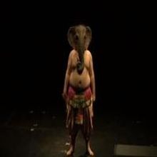 STAGE TUBE: Public Theater Launches UNDER THE RADAR Festival