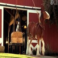 VIDEO: Sneak Peek - SUPER BOWL'S GREATEST COMMERCIALS 2013 - Part II