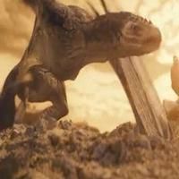 VIDEO: First Look - Vin Diesel in Trailer for RIDDICK