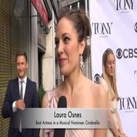 TV: Watch BWW's Special Coverage of the Tony Eve Cocktail Party!