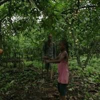 VIDEO: First Look: Trailer for WHERE THE ROAD RUNS OUT