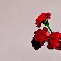 VIDEO: First Listen: John Legend's New Single 'Caught Up'