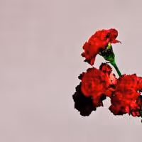 VIDEO: First Listen: John Legend's New Single 'Caught Up' Video