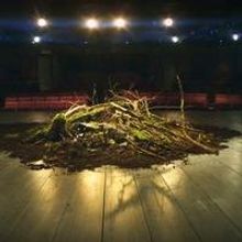 STAGE TUBE: Trailer for RSC's David Tennant-Led RICHARD II, Premiering in Cinemas…