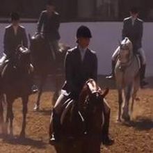 VIDEO: First Look - STORM RIDER Heading to VOD and DVD Today