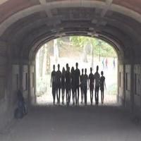 STAGE TUBE: Ogunquit's WEST SIDE STORY Cast Gets 'Cool' in Central Park