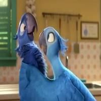 VIDEO: New Trailer for RIO 2 Video