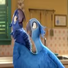 VIDEO: New Trailer for RIO 2