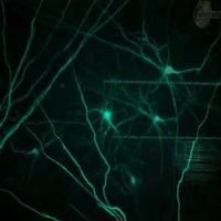 VIDEO: First Look - Teaser Trailer for TRANSCENDENCE, Starring Johnny Depp Video
