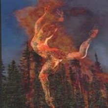 STAGE TUBE: Luminario Ballet of Los Angeles Presents TRAILS