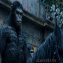 VIDEO: First Look - New TV Spot for DAWN OF THE PLANET OF THE APES