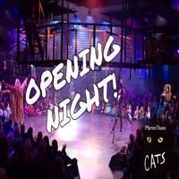 STAGE TUBE: CATS Opens at The Marriott Theatre