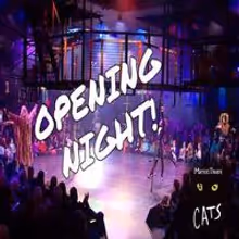 STAGE TUBE: CATS Opens at The Marriott Theatre
