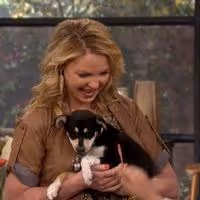 VIDEO: Katherine Heigl Talks Animal Advocacy on THE TALK Video