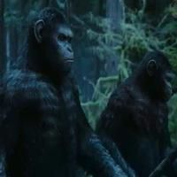 VIDEO: First Look - Two New Trailers for DAWN OF THE PLANET OF THE APES