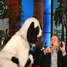 VIDEO: Eric Stonestreet Gets Scared...Again on ELLEN