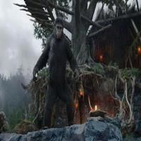 VIDEO: New International Trailer for DAWN OF THE PLANET OF THE APES