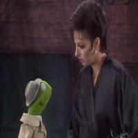 STAGE TUBE: The Muppets Take Broadway? Watch Performances with Minnelli, Vereen… Video