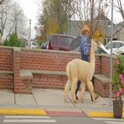 VIDEO: Trailer Released for New, Indie Comedy GEOGRAPHICALLY DESIRABLE