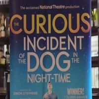 STAGE TUBE: Mark Haddon and Simon Stephens on Bringing 'CURIOUS CASE' to Broadway Video