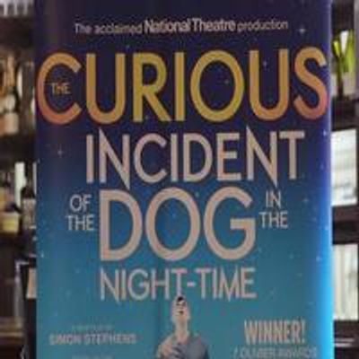 STAGE TUBE: Mark Haddon and Simon Stephens on Bringing 'CURIOUS CASE' to Broadway