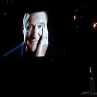 STAGE TUBE: Billy Crystal Honors Robin Williams at 2014 Emmy Awards