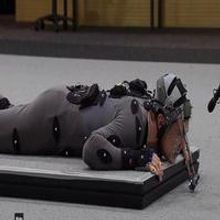 VIDEO: Behind-the-Scenes - Watch Benedict Cumberbatch Bring DESOLATION OF SMAUG to…