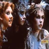 TV: Finola Hughes Reminisces About CATS & More on WHERE ARE THEY NOW
