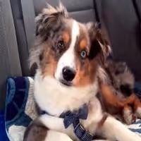 VIDEO: Sneak Peek - 'Atonement' Episode of ABC's REVENGE Video