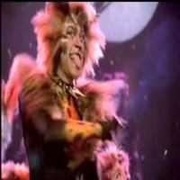 STAGE TUBE: Throwback Thursday - John Partridge as Rum Tum Tugger In CATS!