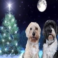 STAGE TUBE: Michael Ball Sends Holiday Greetings from His Pets!