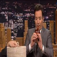 VIDEO: Jimmy Fallon Snake Charms a Cobra on TONIGHT SHOW Video