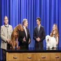 VIDEO: Westminster's Top Breeds Visit LATE NIGHT WITH SETH MEYERS