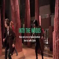 STAGE TUBE: First Look- Theatre Latte Da's INTO THE WOODS