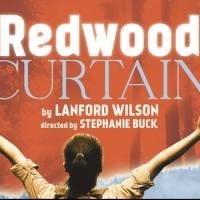 Purple Rose Theatre Company Offers Half-Price Weeknights at REDWOOD CURTAIN thru 3/13