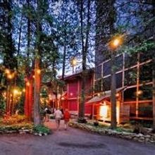 SALOON Opens Peninsula Players' 78th Summer Season Tonight