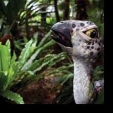 Dino Petting Zoo Roars Into Concord's Capitol Center Today