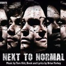 BWW Reviews: NEXT TO NORMAL Electrifies Vermillion