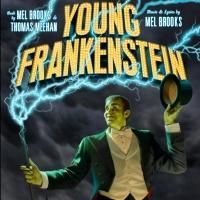YOUNG FRANKENSTEIN to Open 9/12 at Lakewood Theatre Company